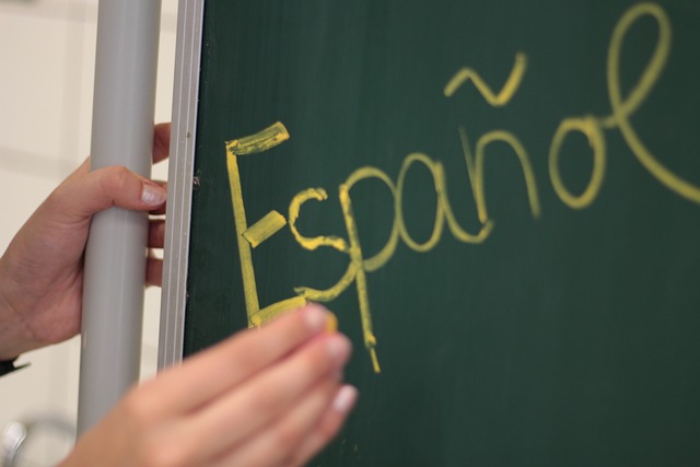 Enseñanza del Español como Lengua Extranjera